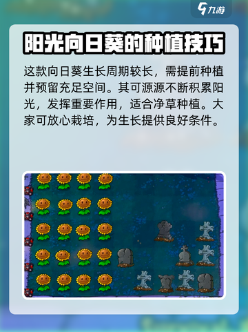 植物大战僵尸之阳光向日葵🔥杂交版上线啦！快玩截图4