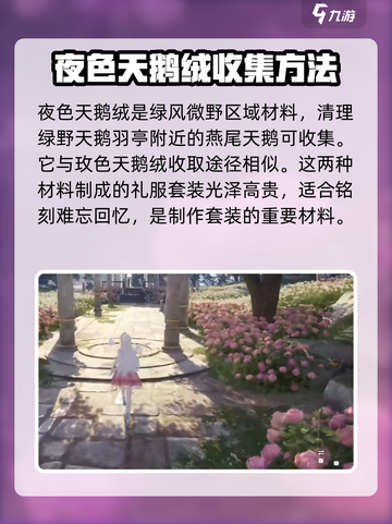 无限暖暖 NIGHT天鹅绒获取攻略💎截图2