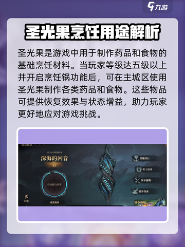 龙息神寂圣光果是什么介绍截图2