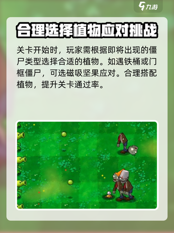 植物大战僵尸杂交版介绍介绍截图4