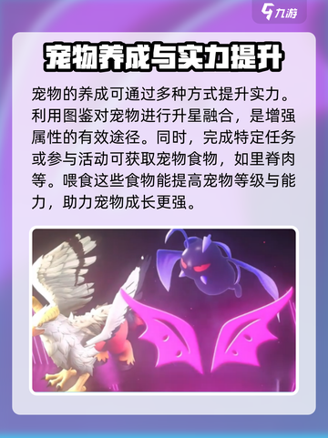 魔力宝贝复兴✨宠物实力飙升秘籍💥截图4