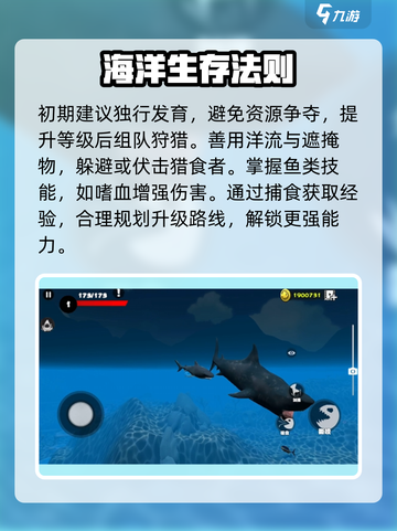 🎮海底大猎杀新手必看！秒变海洋霸主攻略截图5