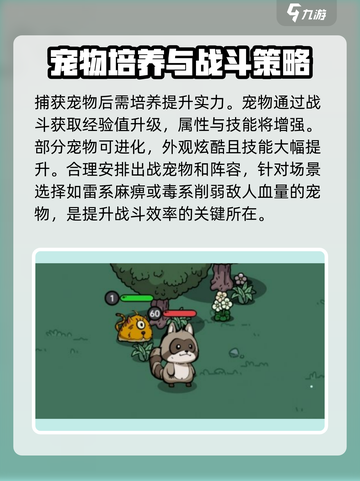 英勇之地驯养宠物攻略介绍截图4