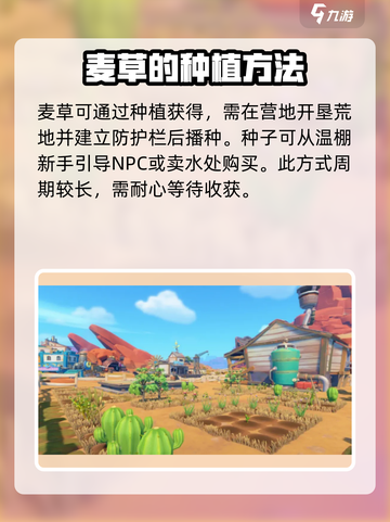 沙石镇时光🔥麦草获取攻略，快速入手秘籍！截图2