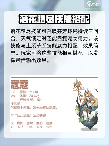 洛克王国手游洛蔻蔻怎么样介绍截图4