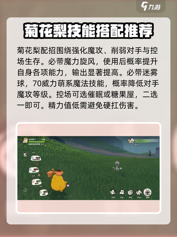 洛克王国世界菊花梨怎么打介绍截图4