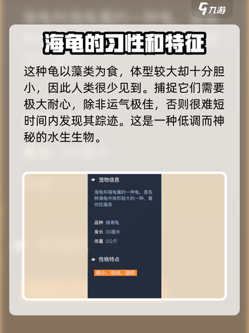 黎明之海💚绿海龟获取攻略，快速入手秘籍！截图4