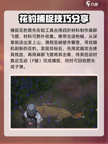 七日世界s级动物有什么介绍截图2