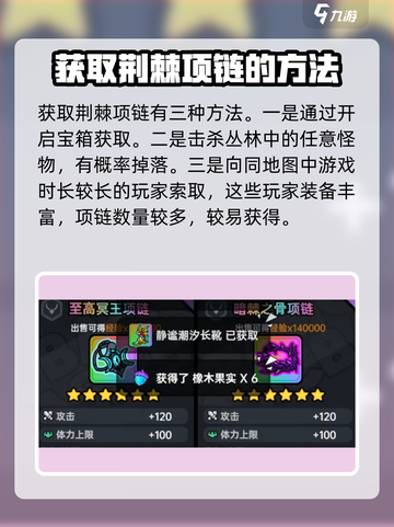 英勇之地荆棘项链怎么获得介绍截图5