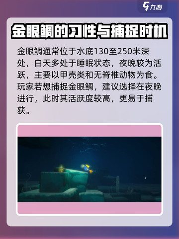 潜水员戴夫金眼鲷如何捕捉介绍截图2