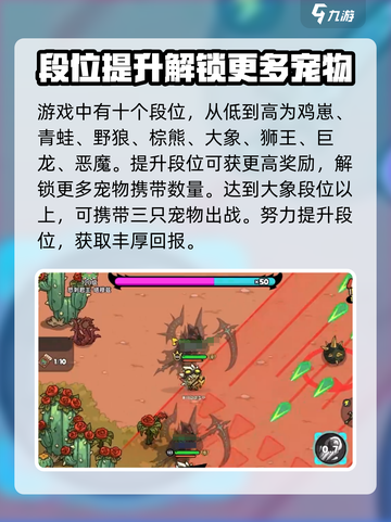 英勇之地怎么提升段位介绍截图5