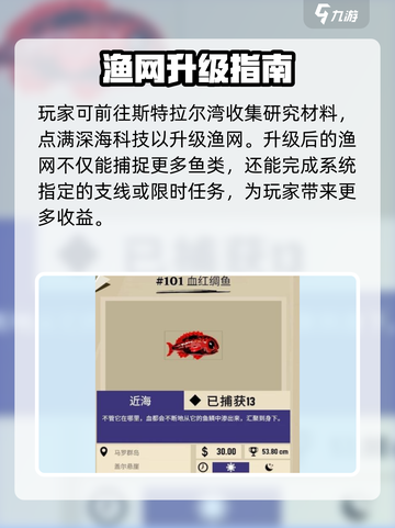 渔帆暗涌渔网的详细介绍介绍截图3
