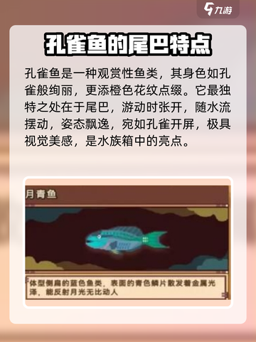 砰砰军团钓鱼图鉴分享介绍截图8