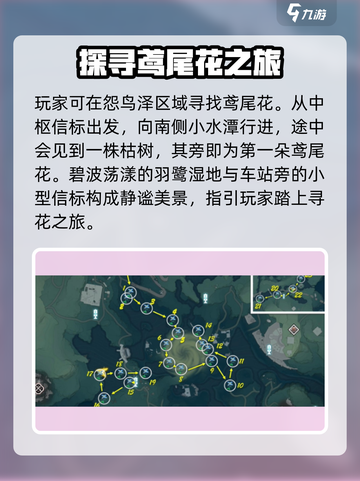 鸣潮⚡鸢尾花隐藏位置大曝光！玩家必看🔥截图2