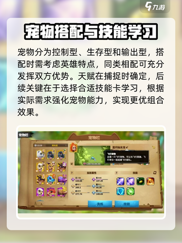 万龙觉醒🔥宠物搭配秘籍，助你战力飙升！截图4