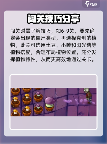 植物大战僵尸抽卡版小游戏怎么玩介绍截图4
