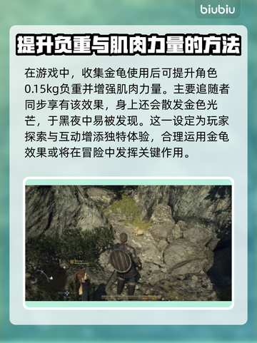 龙之信条2🔥金龟收集全攻略💎截图2