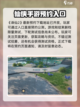 诛仙2手游测试资格获取方法介绍截图2
