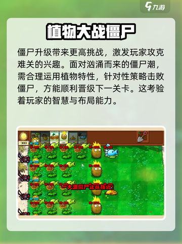 植物大战僵尸杂交版手机怎么进入介绍截图4