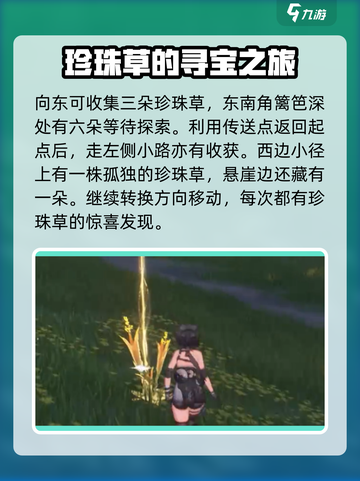 鸣潮💎珍珠草位置大揭秘！玩家必看🔥截图3