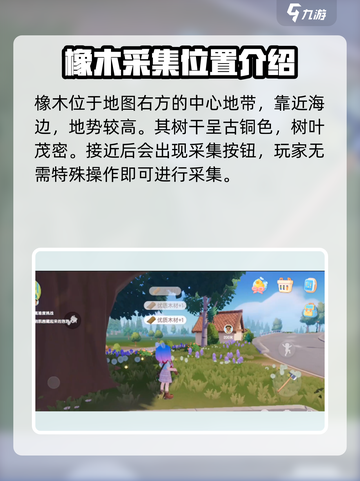 心动小镇🔥珍稀木材获取攻略💎截图3