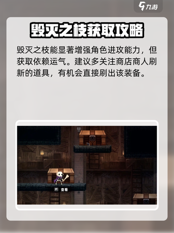 《小骨英雄杀手》毁灭之枝强度爆表？🔥截图3