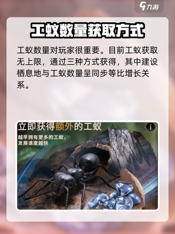 小小蚁国可以买几只工蚁介绍截图3