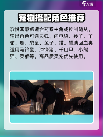 浮生忆玲珑宠物搭配攻略介绍截图5