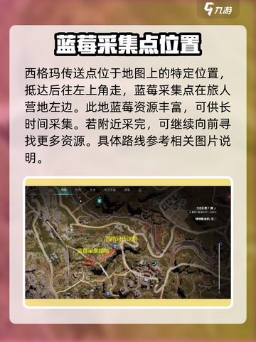 七日世界💎蓝莓采集点推荐，速来打卡！截图2