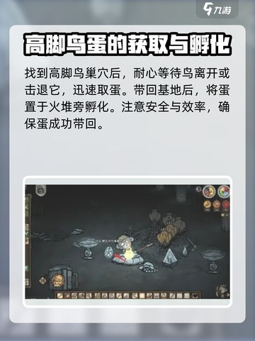 饥荒联机版高脚鸟蛋怎么孵化介绍截图2