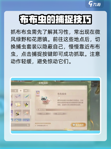 无限暖暖抓布布虫超全攻略💡游戏党必看！截图2