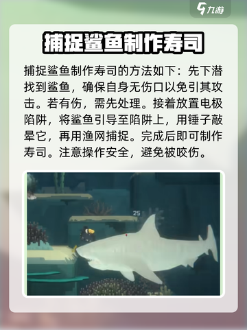 潜水员戴夫散寿司怎么做介绍截图5