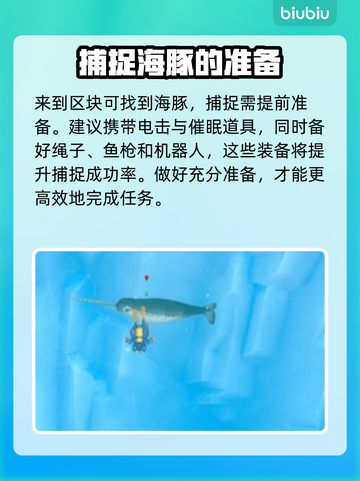 潜水员戴夫南露脊海豚抓捕攻略💎截图4