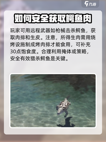 《七日世界》鳄鱼肉获取食用🔥超详细攻略来了！截图3