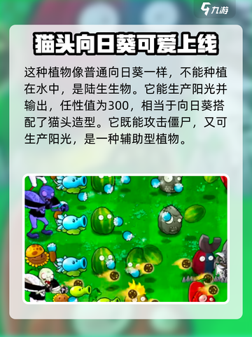 植物大战僵尸：小猫向日葵⚡超强用法曝光！截图4