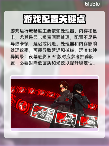 《女神异闻录夜幕魅影PC版卡到爆？✨》截图6