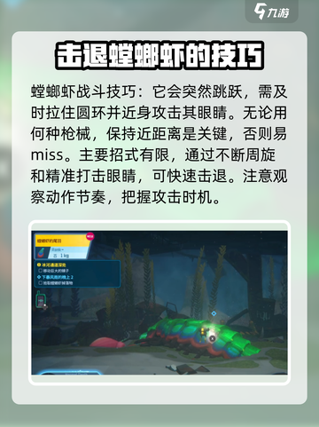 潜水员戴夫螳螂虾打法分享介绍截图5