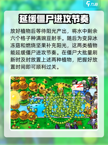 植物大战僵尸杂交版第13关打法🔥 zombies♠截图5