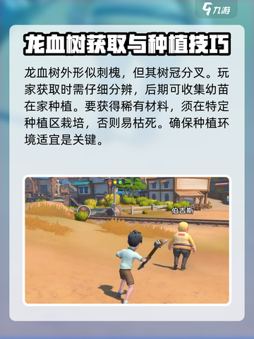 沙石镇时光🔥龙血树获取攻略💎新手必看！截图3