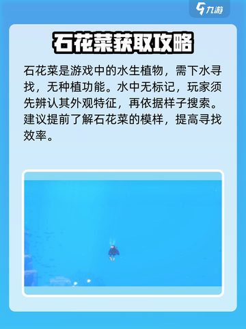 潜水员戴夫🔥石花菜获取秘籍🌊截图2