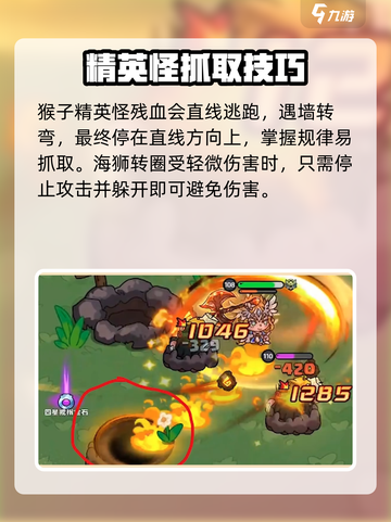 英勇之地翡翠海岸藏宝图位置​介绍截图3