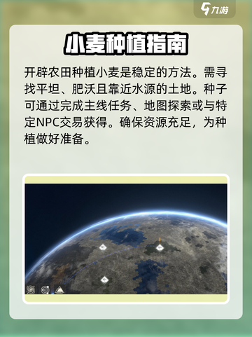 秩序新曙光✨：快速获取小麦攻略来了！截图2
