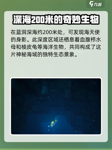 潜水员戴夫🔥海天使位置全揭秘💎截图2