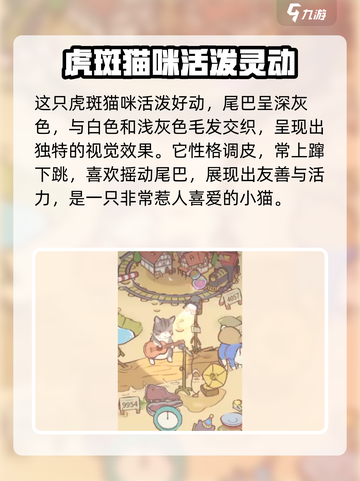 🎮《猫咪和汤》灰色猫咪养成秘籍大公开！截图3