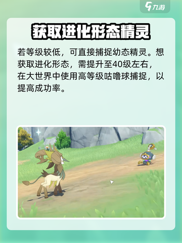 洛克王国世界缇塔怎么样介绍截图4