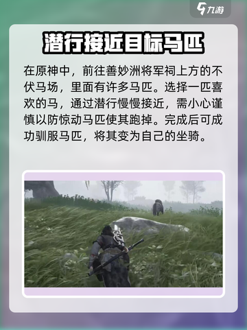 燕云十六声坐骑怎么获取介绍截图2