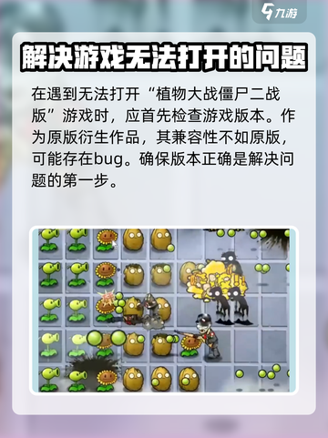 植物大战僵尸二战版打不开怎么办介绍截图2