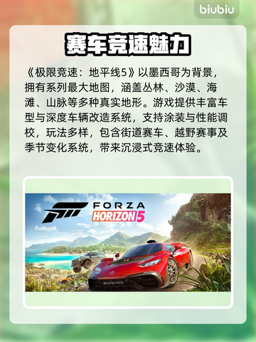 🎮《地平线5》进游戏闪退？一招解决！截图2