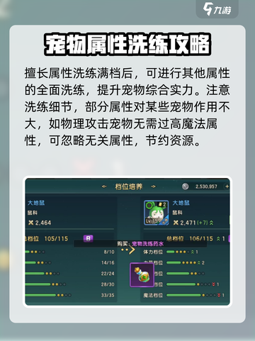 魔力宝贝复兴宠物洗练怎么做介绍截图4