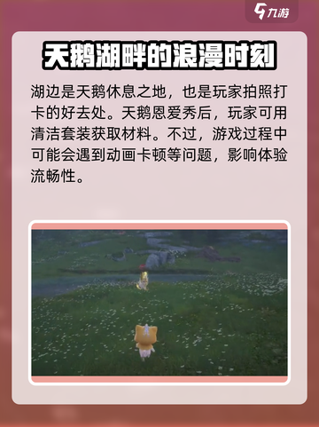 无限暖暖动物点位大揭秘！游戏通关必看🔥截图3